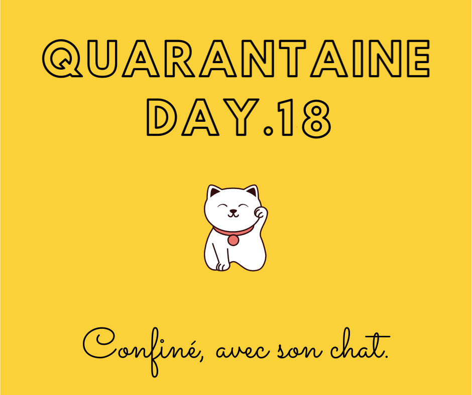 comprendre son chat